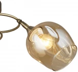 Потолочная люстра Wedo Light Krodo 66665.01.05.03