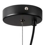 Подвесной светильник Lightstar Dissimo 803116 (220V, на тросе, шар)