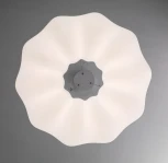 Подвесной светильник с пультом Zortes Soft ZRS.1119.02 (LED, 220V, на тросе, цветы)