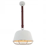 Подвесной светильник Lussole Loft Kodiak LSP-8043