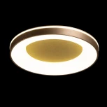 Потолочный светильник круглый De City Норден 660015601 (регулировка яркости, LED, 220V, пульт управления, круглые)