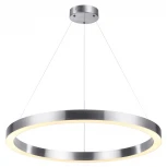 Подвесной светильник Odeon Light Brizzi 4244/45L