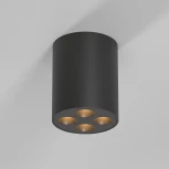 Светильник потолочный светодиодный Elektrostandard Points 25111/LED черный (220V, круглые)