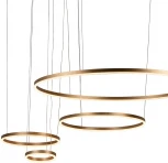 Подвесной светильник Loft IT Ring 10017/4M (LED, 220V, на тросе, кольцо)