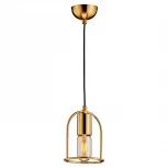 Подвесной светильник Lussole Boone LSP-8425 (220V, на проводе, IP21)