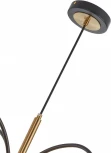 Подвесная люстра Arte Milano Neapol-73808 273808/4+1 BK/GD (220V, на проводе, шар)