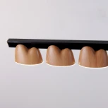 Подвесной светильник Favourite Interline 4266-10P (LED, 220V, на проводе)