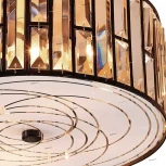 Потолочный светильник круглый Citilux Гермес CL331151 (220V)