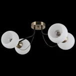 Потолочная люстра ILLUMICO IL0035-4CSQ-79 BK AB (220V)