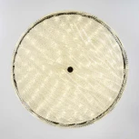 Потолочный светильник светодиодный с пультом с регулировкой цветовой температуры и яркости LED4U LED4U L1117-500 CR