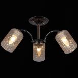 Потолочная люстра на штанге Reluce 31020-0.3-03