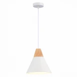 Подвесной светильник Evoluce Modica SLE125103-01