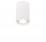 Накладной точечный светильник Simple Story 2065 2065-1CLW