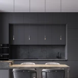 Светильник подвесной светодиодный Elektrostandard Pino 50311 LED 5W 4000K черный (220V)