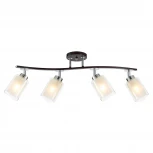 Потолочная люстра на штанге Citilux Фортуна CL156142 (220V)