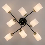 Потолочная люстра на штанге Citilux Генри CL130285 (220V)