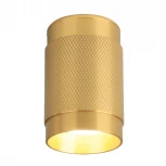 Накладной точечный светильник Elektrostandard Tony DLN109 GU10