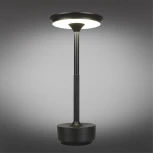 Настольная лампа светодиодная Aployt Markel APL.064.24.05 (220V)