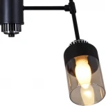 Потолочная люстра на штанге Reluce 32352-0.3-04 (220V)