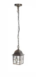 Уличный светильник подвесной Oasis Light 64305 Gb