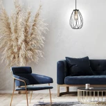 Подвесной светильник Barrie 10180/1S E27*60W Black/Brass (220V, на проводе, клетка)