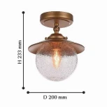 Потолочная люстра Favourite Farola 2027-1U