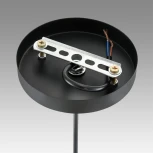 Подвесной светильник Lumion Leonela 8052/1А черный/черный, золото металл/металл E27 1*60W 220V