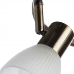 Спот на штанге Arte Lamp Parry A5062PL-3AB (220V, круглые)