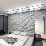 Трековый светильник с гибким неоном магнитный 48V Denkirs Air Ray DK5357-BK (LED)