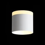 Накладной точечный светильник ST Luce Panaggio ST102.502.09 (LED, 220V, круглые)