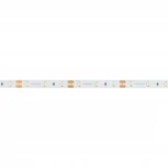 Светодиодная лента NT-A60-8mm 12V White6000 (4.8 W/m, IP20, 3528, 5m) (Arlight, Открытый) 035698