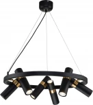 Подвесная люстра Favourite Light point 2997-6P (220V, на тросе, круглые)