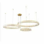 Подвесной светильник Aployt Nicoletta APL.026.03.100 (LED, 220V, на тросе, кольцо)