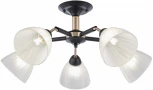 Потолочная люстра на штанге Arte Milano Napoli 324108/5 BK+FG (220V)