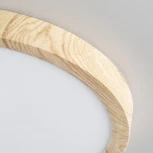 Настенно-потолочный светильник Citilux Бейсик CL738182V (регулировка яркости, LED, 220V, круглые, IP40)