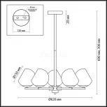 Потолочная люстра Lumion Blair 3769/5C