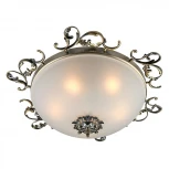 Потолочный светильник круглый Omnilux Ragusa OML-76507-05 (220V)