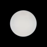 Потолочный светильник круглый Loft IT Axel 10002/48 White (LED, 220V, круглые)