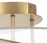 Потолочная люстра на штанге Lightstar Acrile 738053 (LED, 220V, круглые)