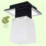 Встраиваемый точечный светильник Lussole Loft Lente GRLSC-2507-01 (220V, IP21)