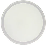 Потолочный светильник круглый Zortes Bella ZRS.1200.09 (LED, 220V, круглые, IP54)