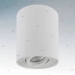 Потолочный светильник круглый Lightstar Binoco 052016 (220V)