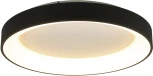 Потолочный светильник круглый Mantra Niseko 8639 (регулировка яркости, LED, 220V, пульт управления, круглые)