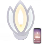 Бра Natali Kovaltseva Led Lamps 81124 81124/1W