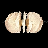 Бра светодиодное Cloyd Antigua 20363 (220V)