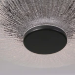 Подвесной светильник Favourite Wilet 4656-1P (LED, 220V, на проводе, круглые)