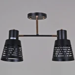 Потолочная люстра на штанге Reluce 06074-3.3-02 BK+FG (220V)