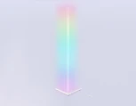 Угловой торшер светодиодный с пультом управления RGB Ambrella Comfort FL8025 (220V, выключатель)