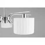 Потолочная люстра на штанге Omnilux 342 OML-34207-05 (220V)