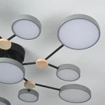 Потолочная люстра с пультом на штанге LED Lu Carte LC-11-1719